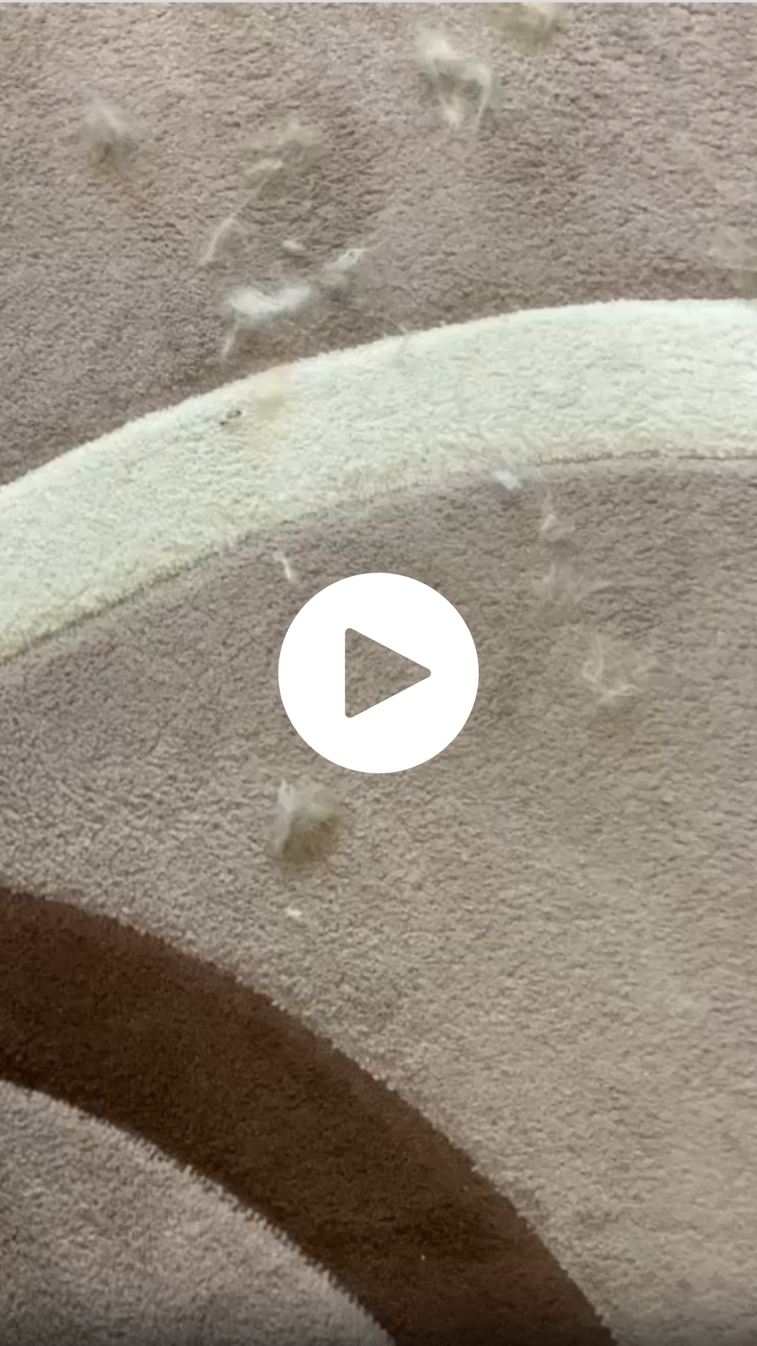 Career LinkedIn (Video na mobil)